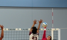 Girls' state volleyball playoffs begin this week