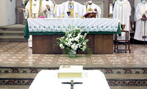 Champion of pro-life, Father Doyle, dies at age 82