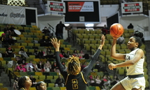 Mount Carmel advances to Division I finals