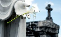 Photographers zoom in on Catholic cemeteries
