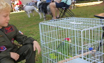 St. Francis of Assisi Church in N.O. blesses pets and their caretakers in roll-up to saintly feast
