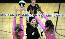 Black vs. Brown continue their ‘Pink‘ net rivalry