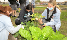 Garden aligns with pope’s call to care for earthly home