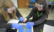 Labs prep young scientists at St. Christopher