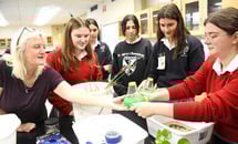 Students glean coastal restoration tips