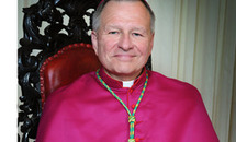 Archdiocese embarks on pastoral planning