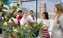 Holy Name of Jesus students get their hands dirty in Loyola’s sky garden