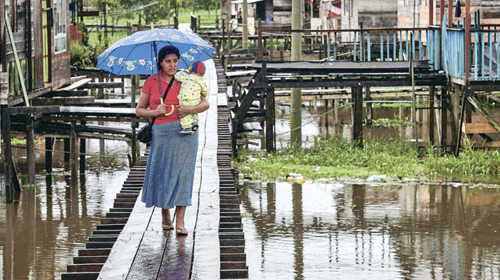 South America’s Amazon: Culturally diverse, globally important