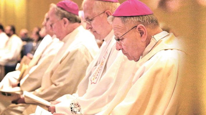 Report from the U.S. bishops’ November meeting
