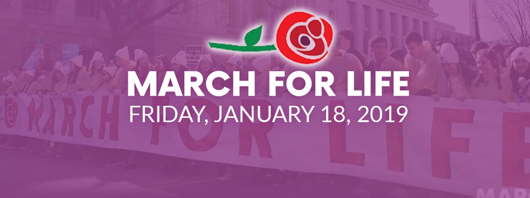 March for Life 2019