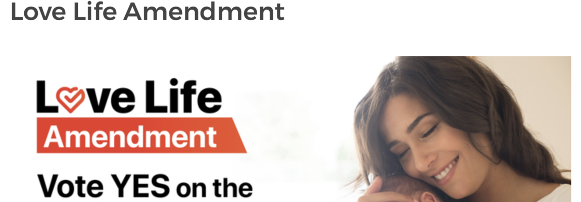 The Catholic case for voting ‘yes’ on the Love Life Amendment