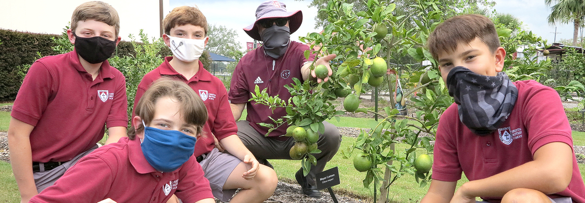Christian Brothers’ City Park garden cultivates green thumbs