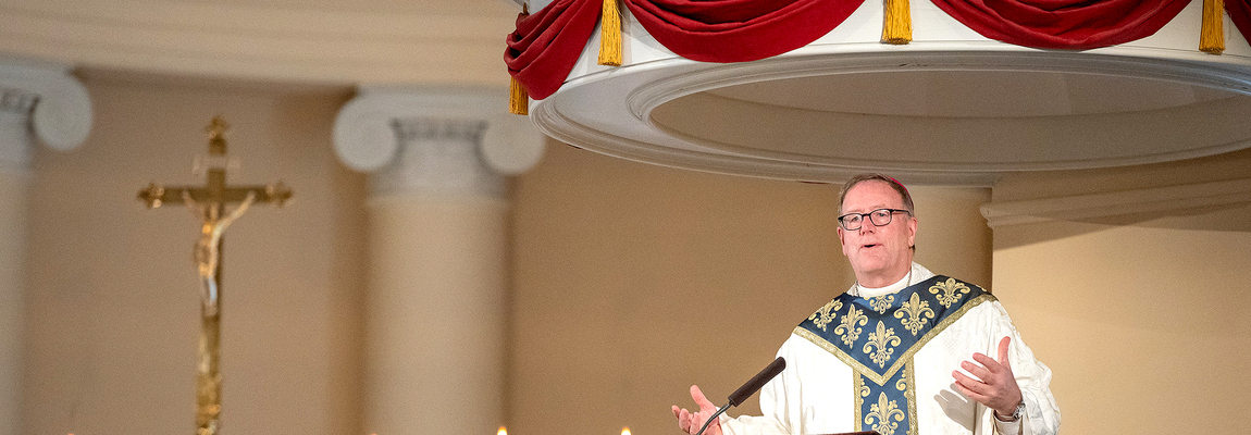 Bishop Barron: 'Shadow boxing' around moral issues