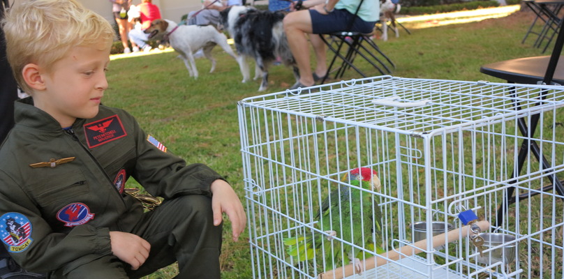 St. Francis of Assisi Church in N.O. blesses pets and their caretakers in roll-up to saintly feast