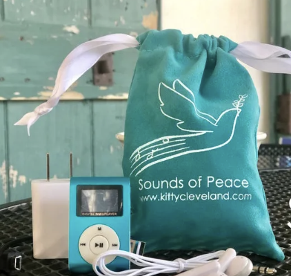 ‘Sounds of Peace’: A music project to console others