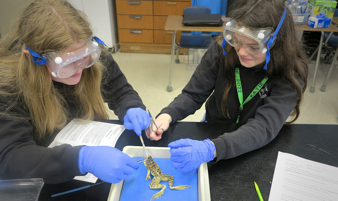 Labs prep young scientists at St. Christopher