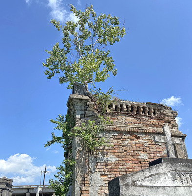 Society tombs to get facelift at St. Louis No. 2