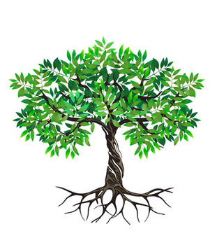 ‘Do I need some pruning?’