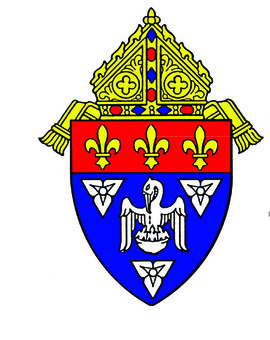 Archdiocese files Reorganization Plan in Bankruptcy Court
