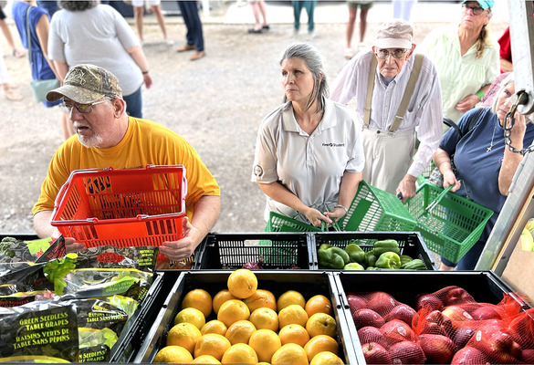Second Harvest grows food security with innovation