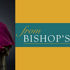 Creation and labor in the plan of God