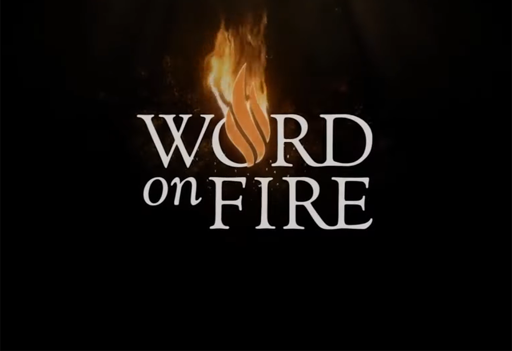 Word on Fire Institute