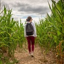 Healing from Sexual Abuse is a Journey