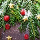 Christmas Plant Sale