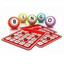 BINGO is back!
