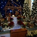 Tree Lighting and Blessing of the Nativity
