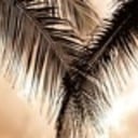 Palm Sunday