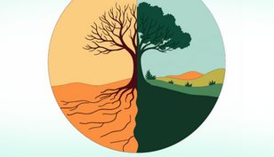 Season of Creation 2025 Events
