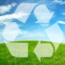Caring for Creation: August Eco-Challenges