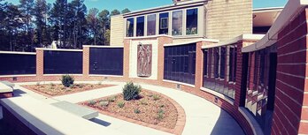 Living Signature project update: The plants are in the ground