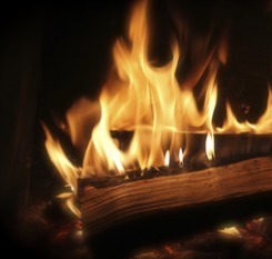 Upcoming Fireside Chats