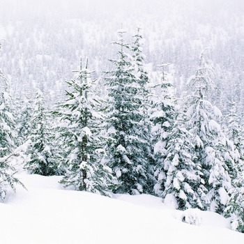 Cancellations Due to Inclement Weather