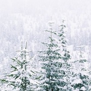 Cancellations Due to Inclement Weather