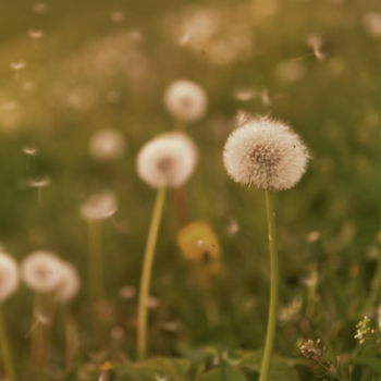 Small Acts, Big Impact