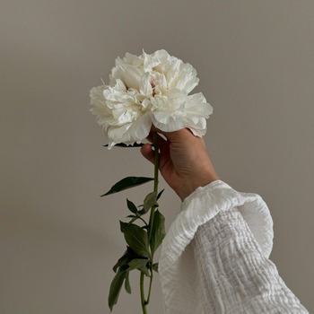 Mass of Rememberance