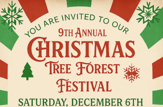 Christmas Tree Forest Festival