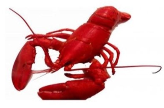 Annual Lobster Feast