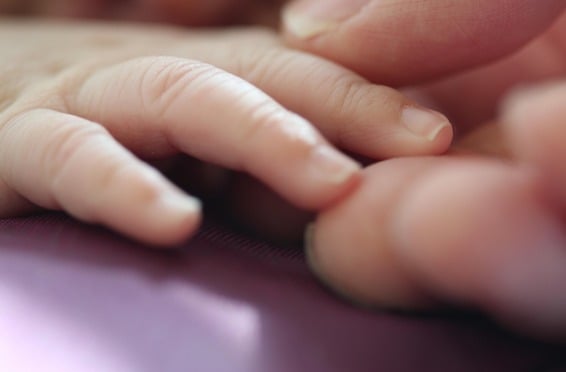 Some guidelines about medical decisions at the end of life