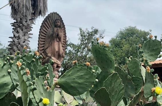 Our Lady of Guadalupe Celebration (Alice)