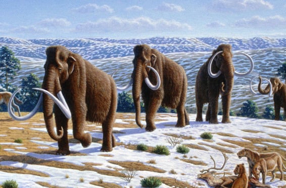 De-extinction?