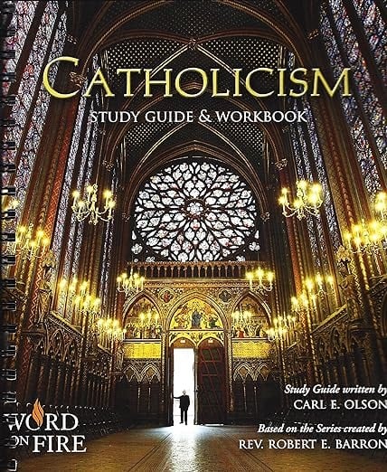 bishop barron catholicism study guide and workbook