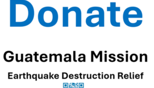 Earthquake Destruction and Call for Help