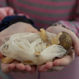 Blessing of the Bambinelli