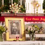 No Adoration & Holy Face Devotions Tonight