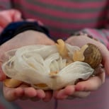 Bambinelli Blessing December 14