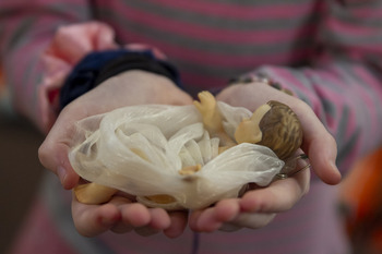 Bambinelli Blessing December 14